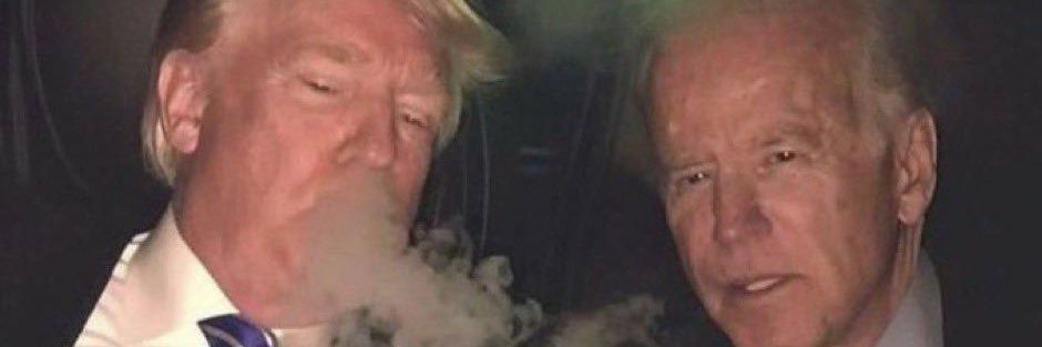 identifies as Halfbaked/Silverback banner