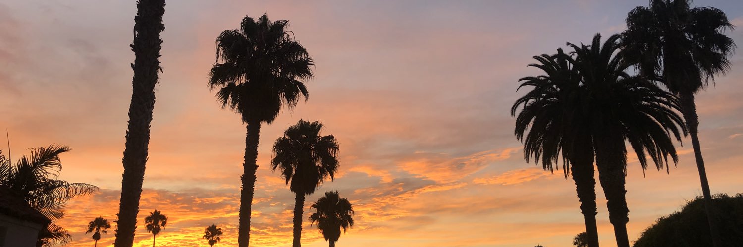 kaileynwilson's profile banner image
