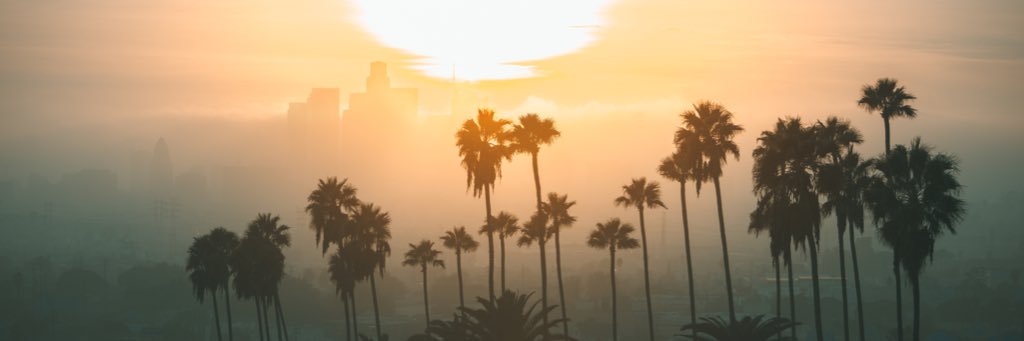 TheGavAsh's profile banner image