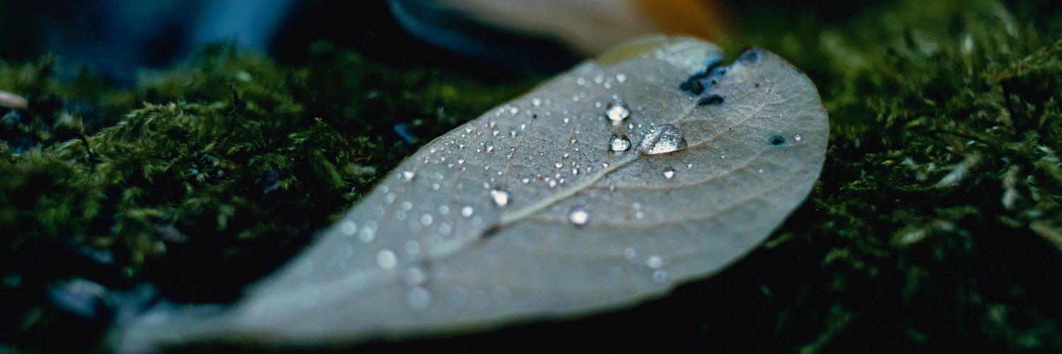 misheartinte's profile banner image