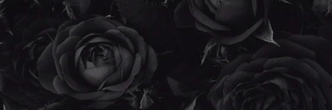 _Rosalado's profile banner image