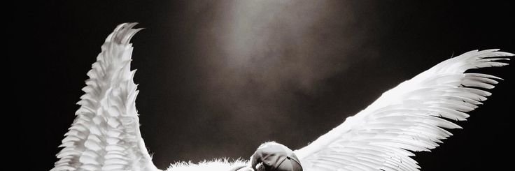 Carpe Diem banner