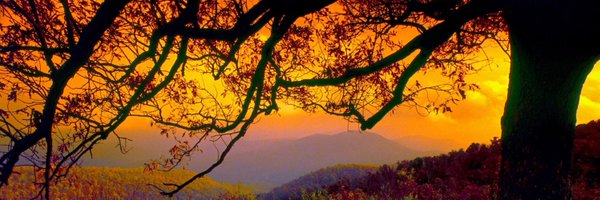 mimi424 Profile Banner