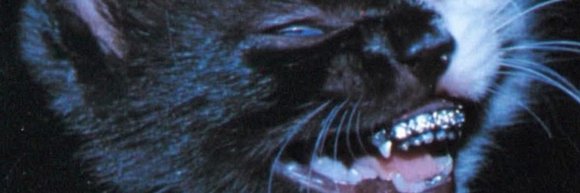 Ⓚⓝⓘⓒⓚ💙 banner