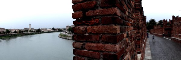 CarlitosArceAid Profile Banner