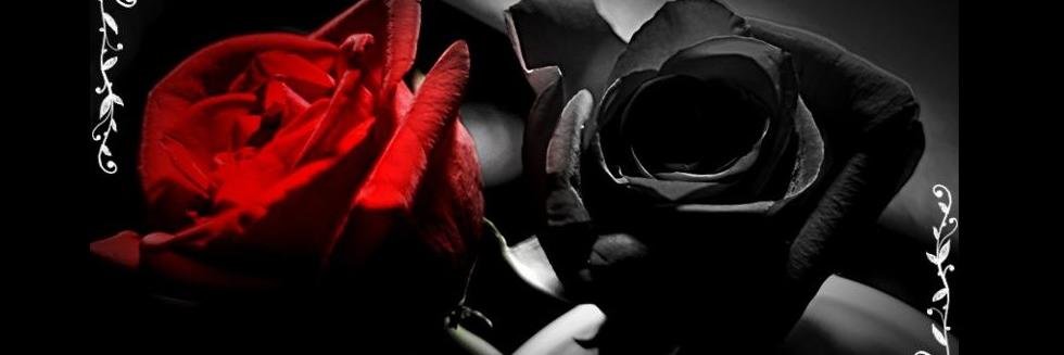 keigu09's profile banner image