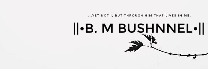 BUSHNNEL's profile banner image