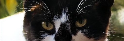 AngelaH55201581's profile banner image