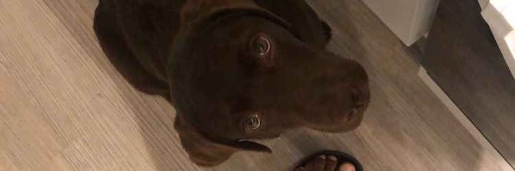 Davidekehh's profile banner image