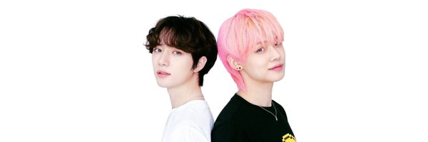 1393files Profile Banner