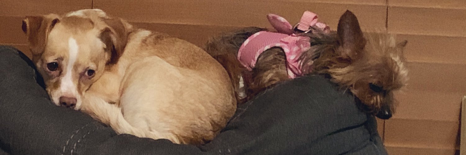 lilgriff78's profile banner image