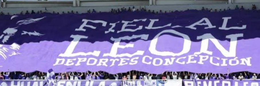 Coco Sepúlveda banner