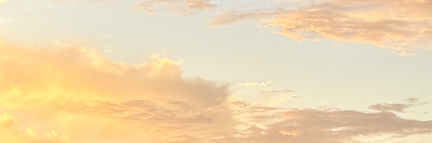 barairo_diary's profile banner image