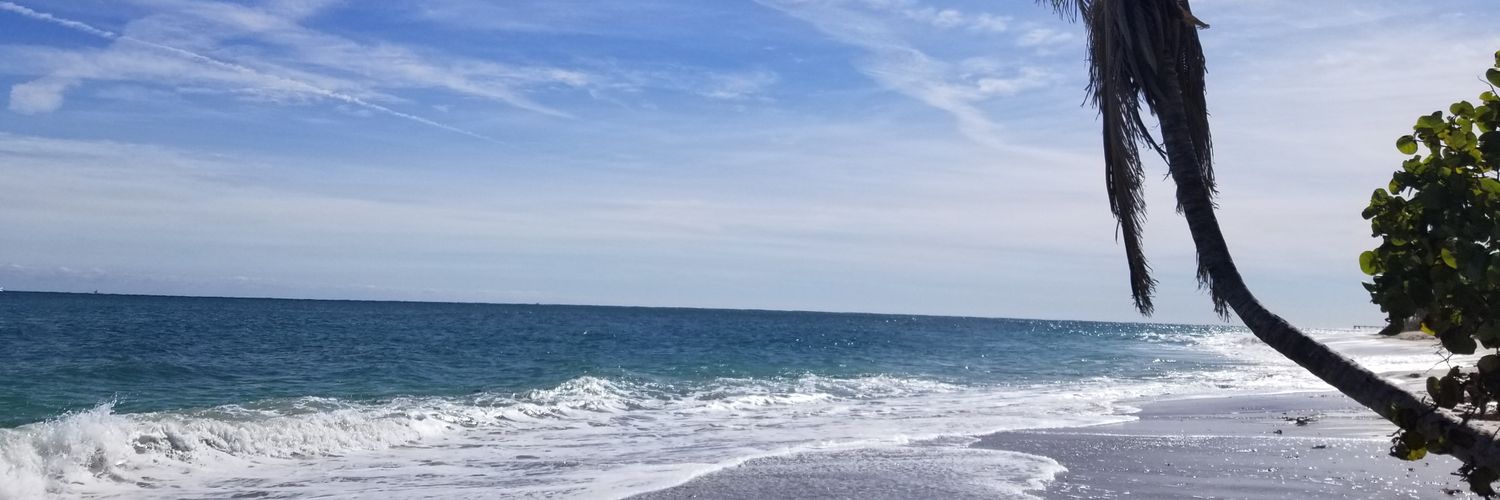 MusicguyEP's profile banner image