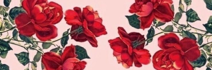jillllzs's profile banner image