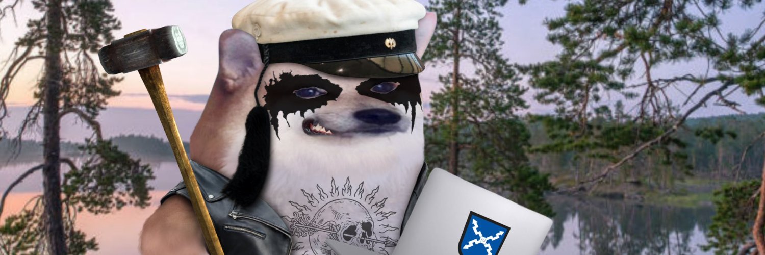 Haitari Selville fella 🇫🇮🏴‍☠️ banner