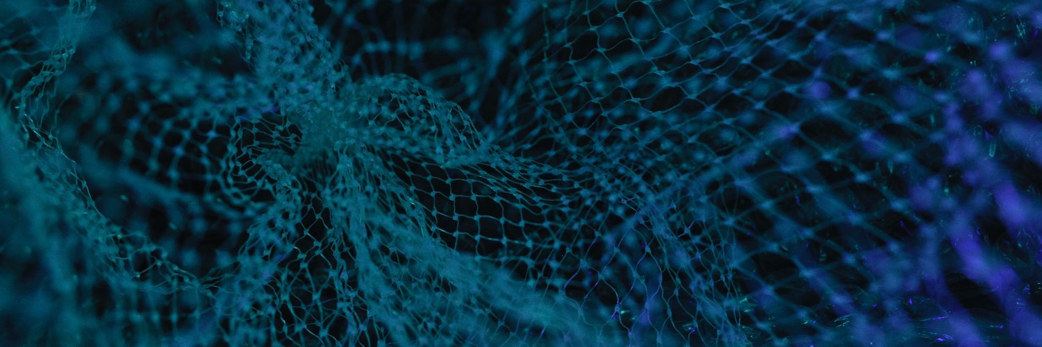 Crypto Maxi banner