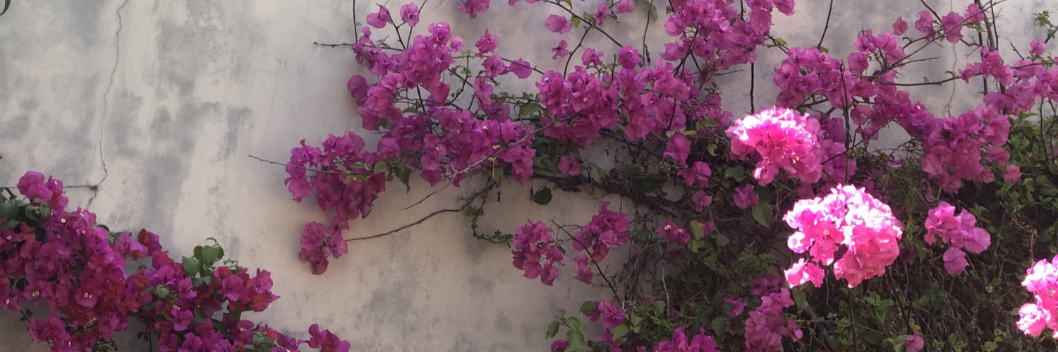 Ashlea Tegman banner