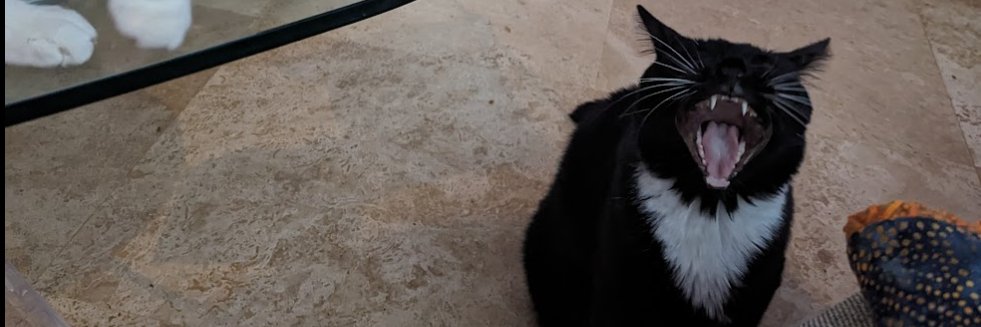 minitru's profile banner image