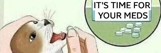 974ninesevenfour banner