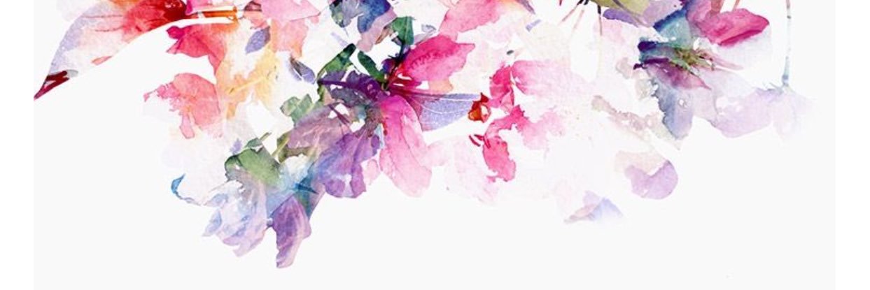 eimyarelly's profile banner image