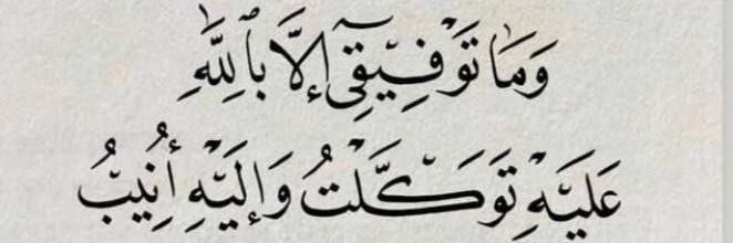 Layan Alsenany banner