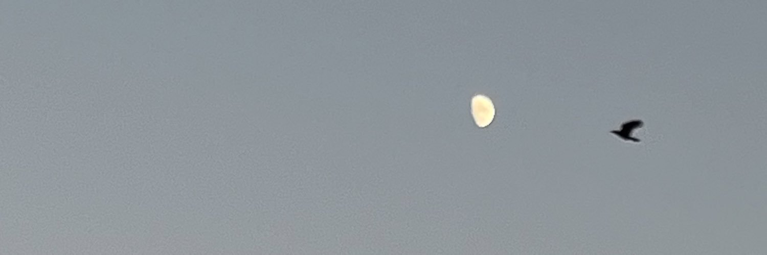 はる@かなめ組🍷 banner