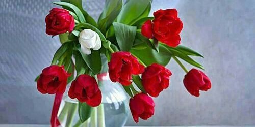 ashokkumargulia's profile banner image