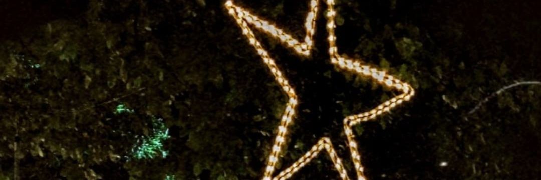 _ceciliamorais_'s profile banner image
