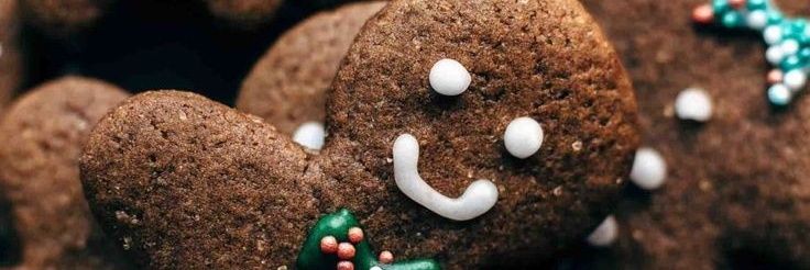 🎄🧝‍♀️Elf On A Shelf 🧝‍♂️🎄 banner