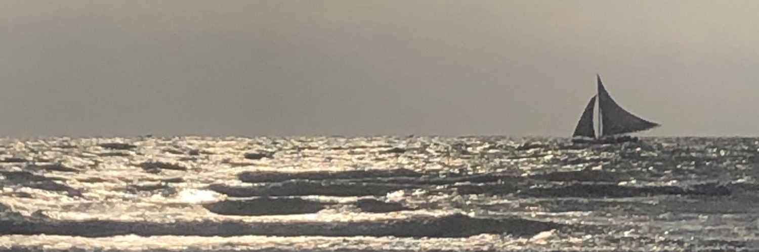 𝙳𝚒𝚖𝚒𝚝𝚛𝚒 𝙱𝚊𝚛𝚛𝚎𝚝𝚘 𝙿. banner