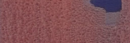 Kim Louis banner