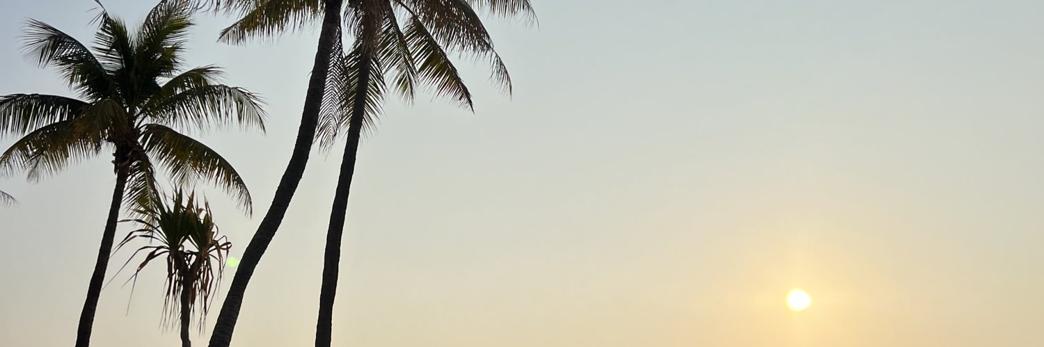 Leo banner