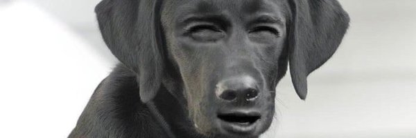 reddevile_ Profile Banner