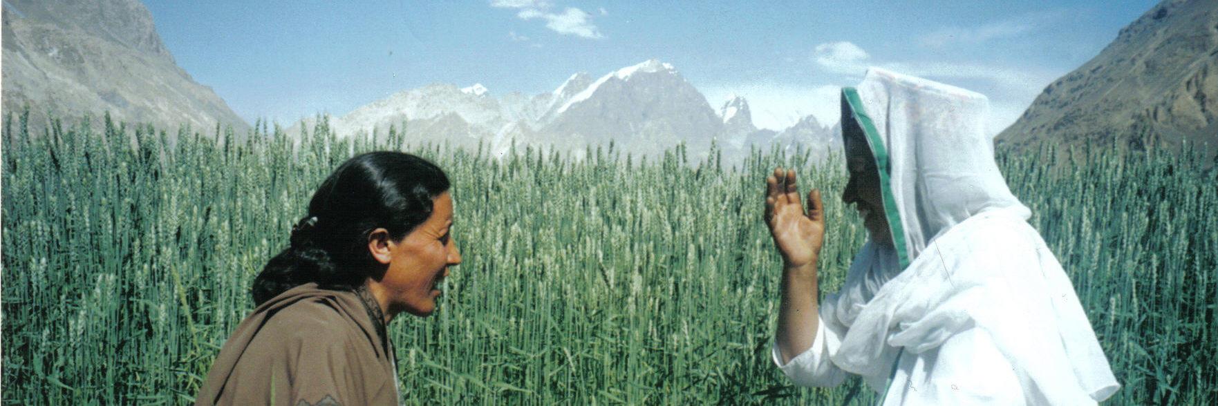 Siobhan Warrington banner