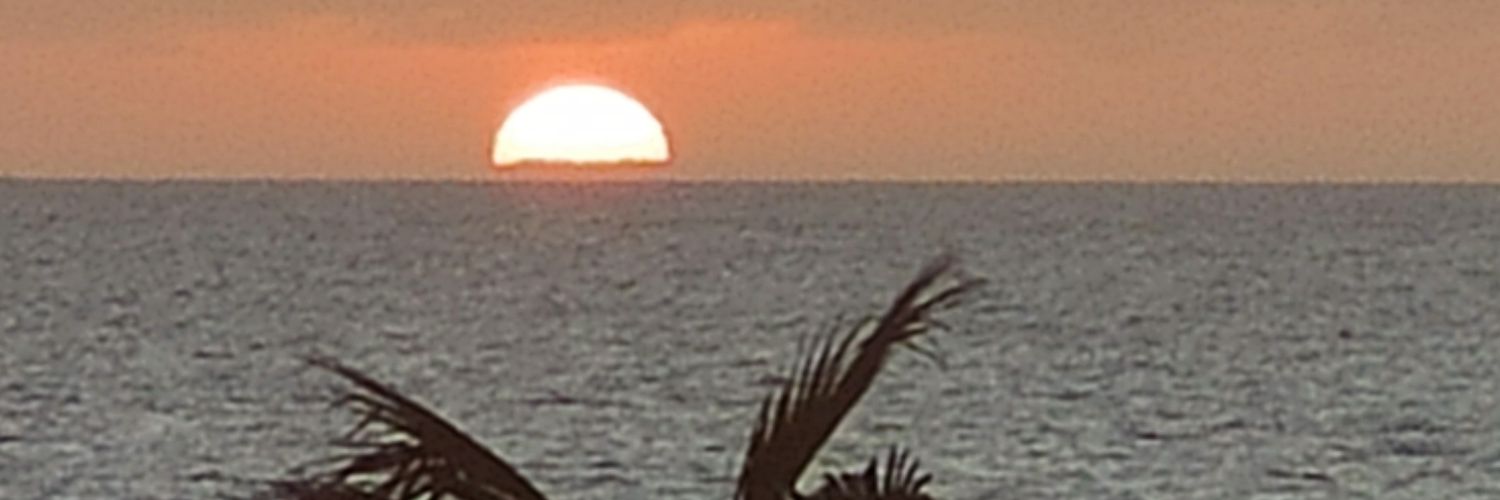 jorgito3882's profile banner image