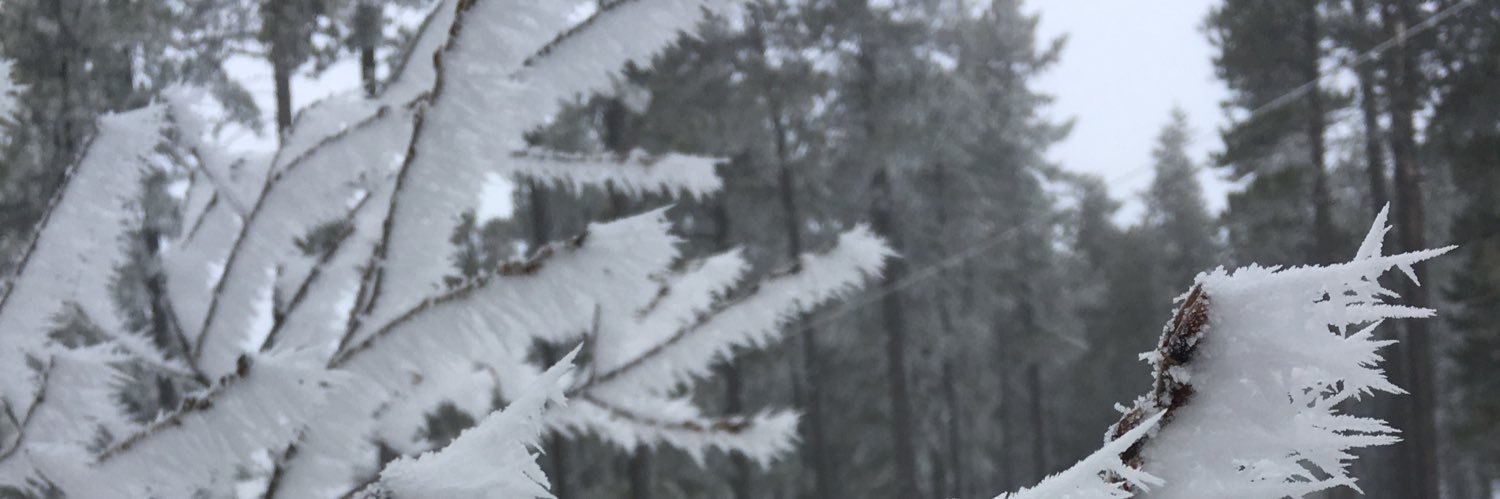 kenhass's profile banner image