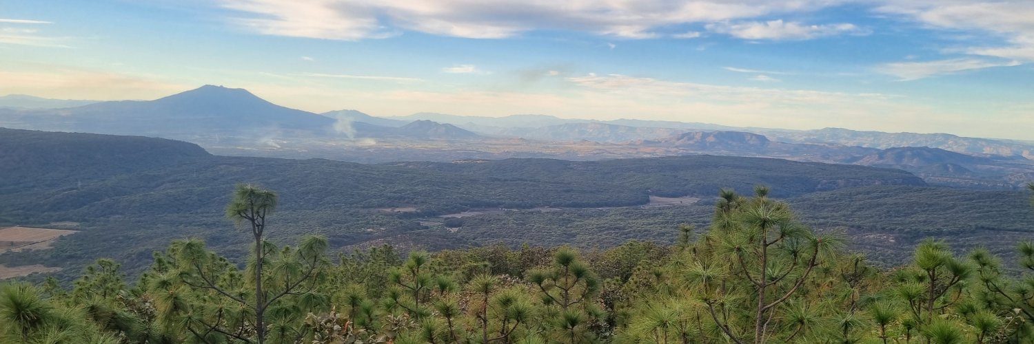 Fernando - ✝️| 👨‍💻 | 🥊 banner