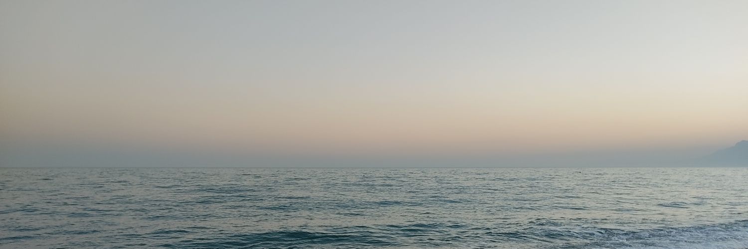 bengisugisu's profile banner image