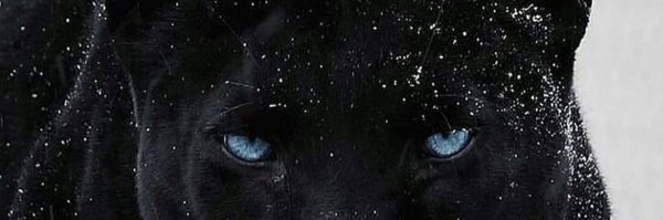 OLASKURT_BVTCH Profile Banner