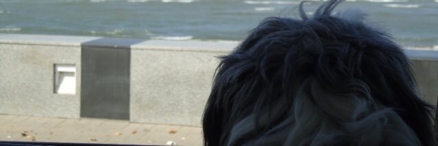 natashaatweets's profile banner image