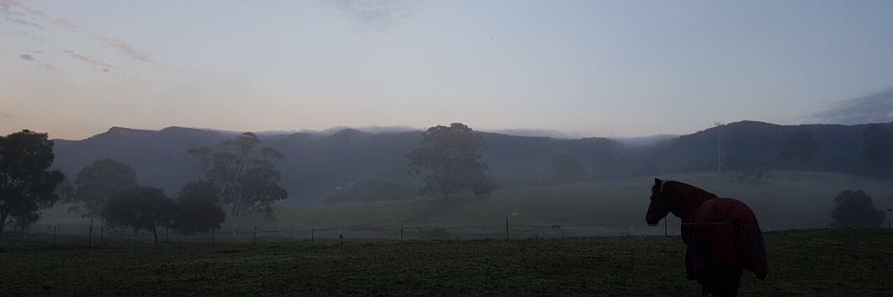 michael_marsh's profile banner image
