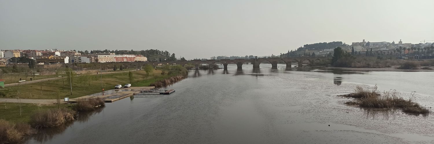 🇪🇸 💚🤍🖤 banner