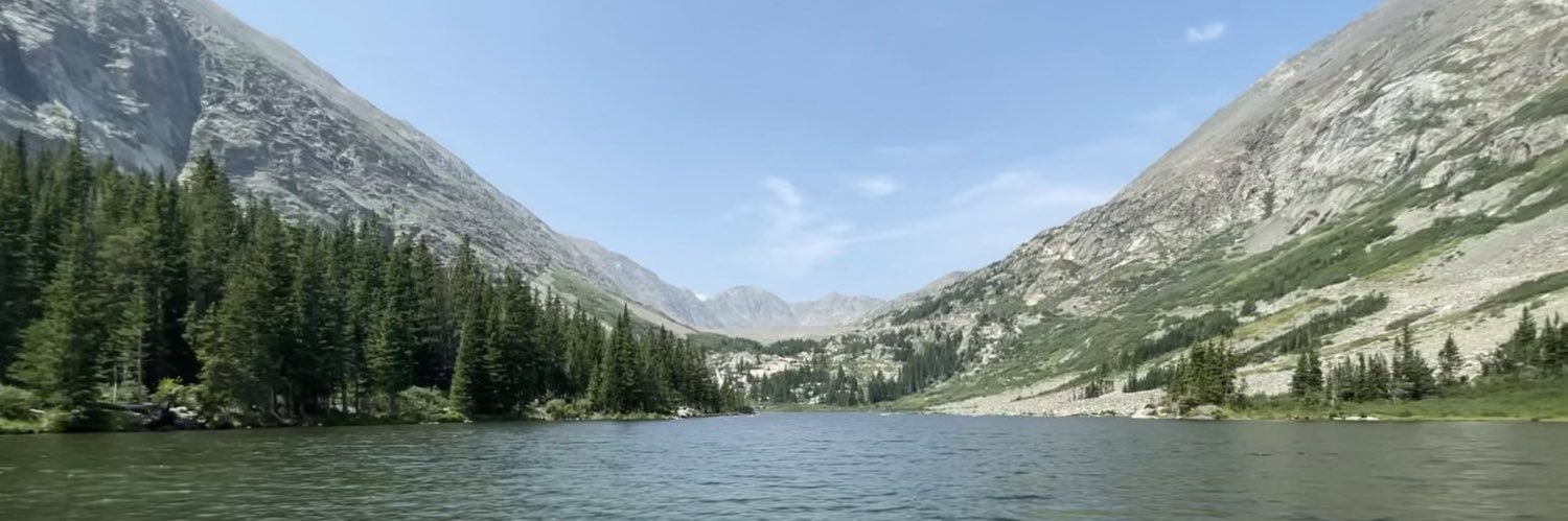 Yogita Rochlani banner