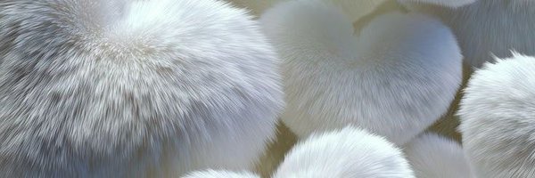 Elleevans98 Profile Banner