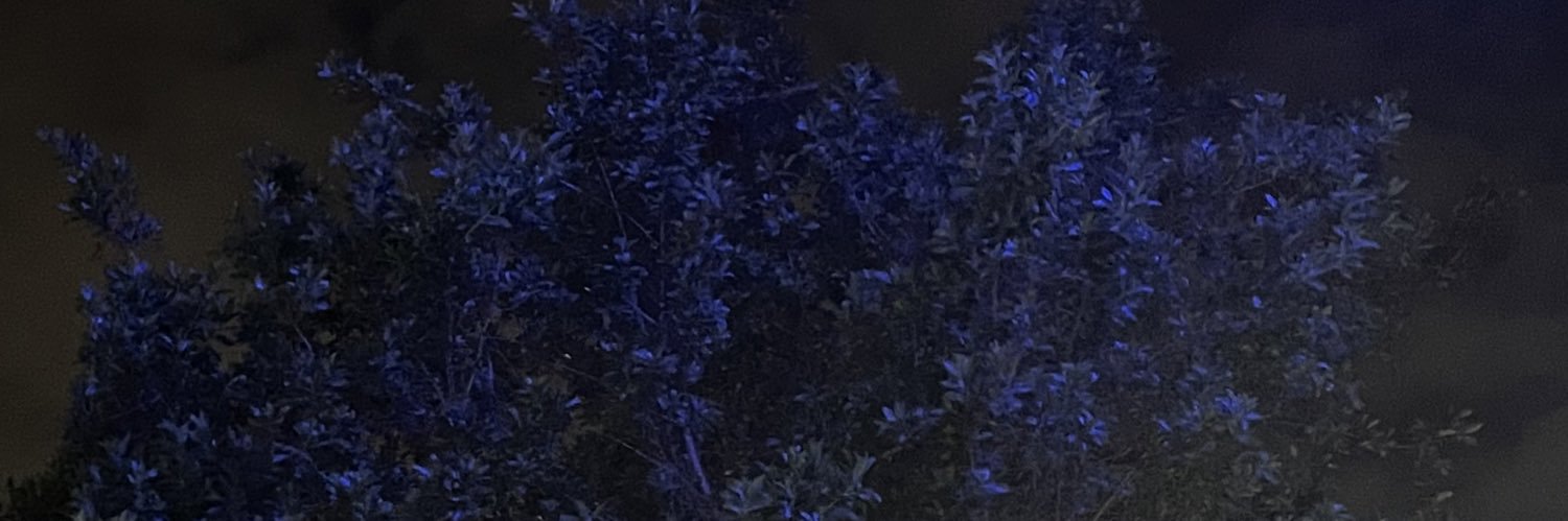 exoticwasheree's profile banner image