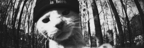 Suzchanne's profile banner image
