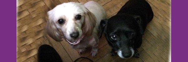 _teirecias Profile Banner