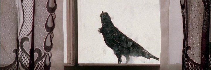 weld_anarchy's profile banner image