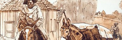 caixeiroonline's profile banner image